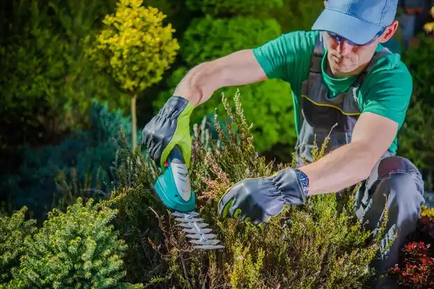 landscaping services Island Park